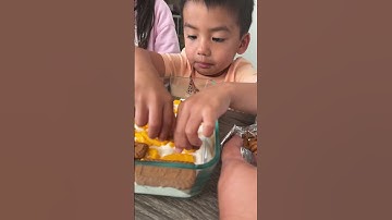 Mango float is the dessert of the summer #mango #mangofloat #mangorecipe #foodie #foodlover #tasty