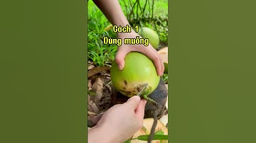 Cách uống dừa khi không có dao #dua #coconut #foryou #fyp #trending