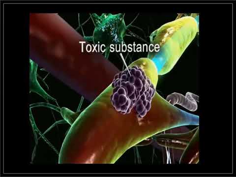 كيف تقوم خلايا الدبق العصبي بحماية العصبونات Nervous glands cells