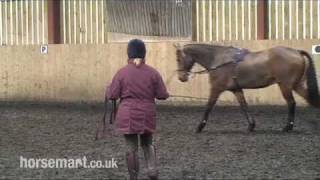 How to Lunge a Horse with Side Reins