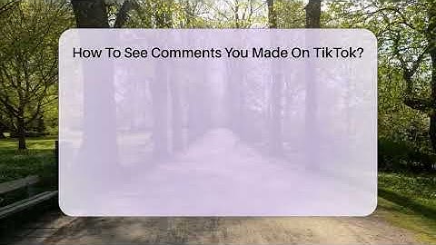 How To See Comments You Made On TikTok? - Everyday-Networking