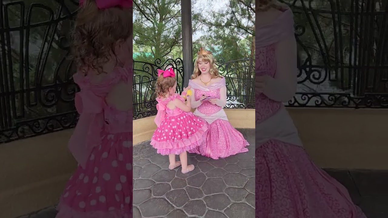 Aurora meet and greet at Epcot!