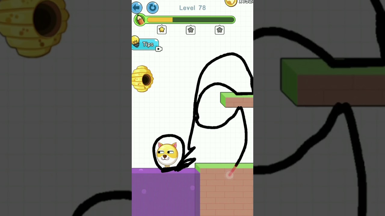 Save the Dog Game - Level 78 