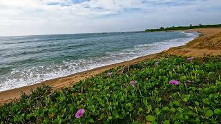 Ocean Waves to Sleep, Study, Meditate & Relax by Nature SFX 1,433 views 8 months ago 4 hours