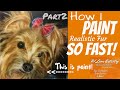 How I QUICKLY paint realistic fur part 2 of an airbrush tutorial.
