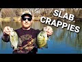 We Found A CRAPPIE BITE!