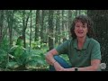 Recording Maine's Champion Trees | Borealis Season Two