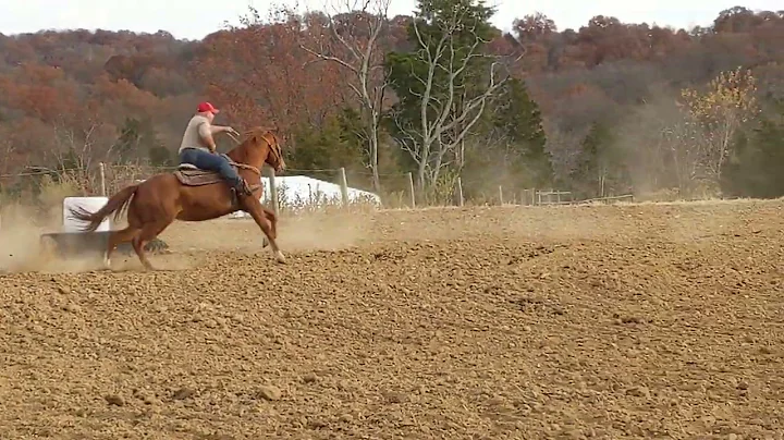 chicka.10/29/22 #2