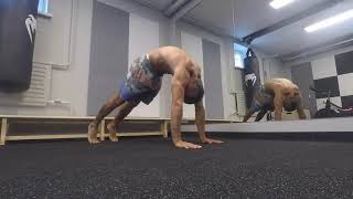 Half Dive Bomber Push Ups