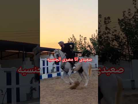 المنشد احمد حسن صعيدى انا مصرى الجنسيه