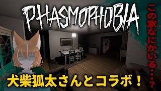 【ファズモフォビア】猫と狐の幽霊調査！👻【コラボ】