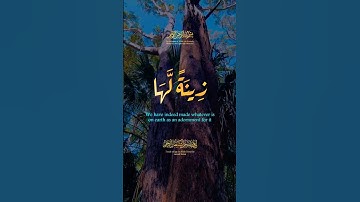 سورة الكهف يوم الجمعة في رمضان #سورة_الكهف #جمعة_مباركة #رمضان #quran #ramadan #surah