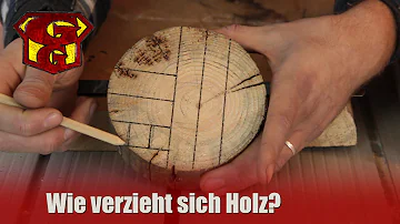 Wie sehr verzieht sich Holz?