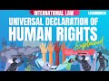 Dclaration universelle des droits de lhomme droit international lex animata hesham elrafei