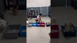 wanginya juga enak, bikin rumah tenang  #litterbloom #olivecare