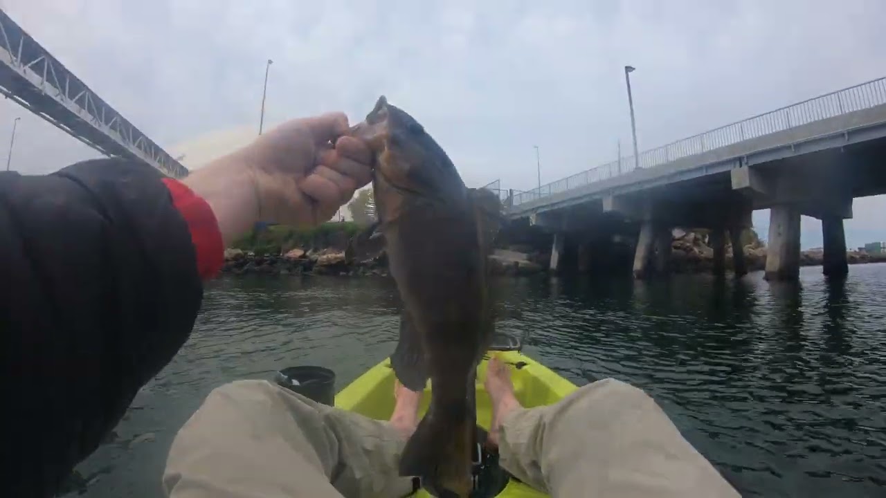 kayak bass fishing long beach