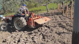 Fresatura/Preparazione terreno con [FIATAGRI 36-66dt & fresa Maschio]