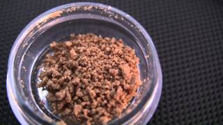 tokin daily: og's oh my