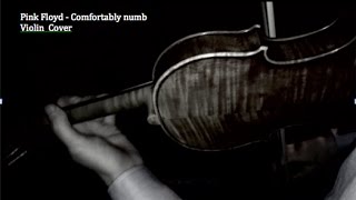 Pink Floyd - Comfortably numb - Violin  Cover