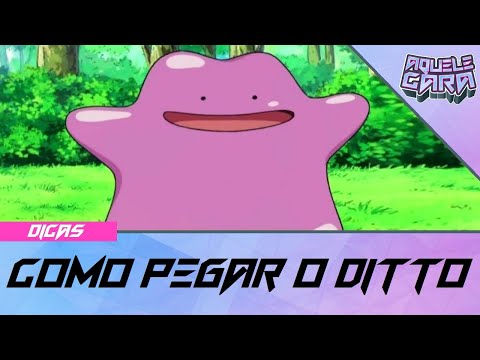 Pokémon Go  Guia completo para você pegar um Ditto - PlayReplay