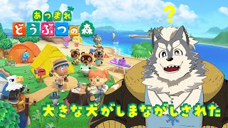【雑談しながら】あつまれどうぶつの森 １日目