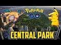 PGO: Pokemon Go - Central Park, New York City Pokemon Hunting Gameplay!