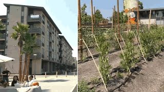 CA's largest urban farm opens in Bay Area, combines affordable housing