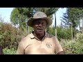 SYNGENTA MAVUNO ZAIDI Ufadhili Wa Pembejeo Kwa Wakulima SYNGENTA MAVUNO ZAIDI Ufadhili Wa Pembejeo Kwa Wakulima