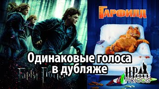 Одинаковые Голоса В Дубляже: Гарри Поттер И Гарфилд