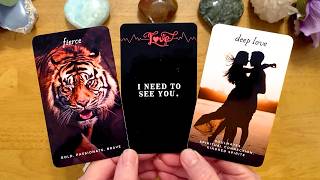 OMG!! 😍 YOUR PERSON HOPES YOU'RE READY FOR WHAT THEY'RE GOING TO TELL YOU! (COLLECTIVE LOVE READING)