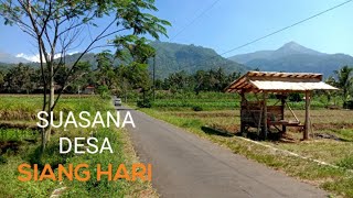 Suasana Pedesaan di Siang Hari