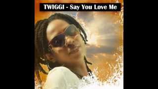 TWIGGI - Say You Love Me chords