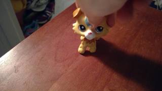 my lps amino!!!!