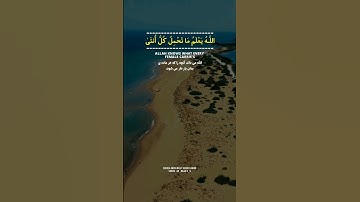 تلاوت زیبای سوره رعد به صدای ملکوتی شیخ عبدالباسط عبدالصمد _آیات ۸-۹ #قرآن  #عبدالباسط_عبدالصمد