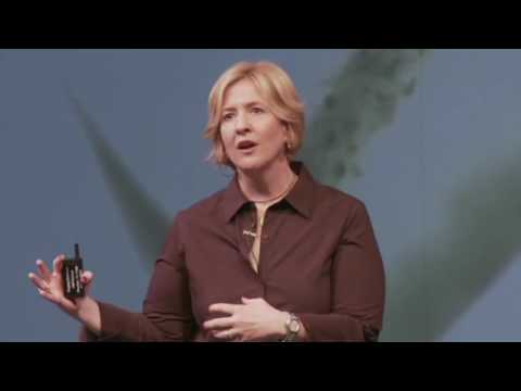 The Power of Vulnerability |  Brene Brown (TED Talk Summary)