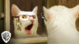 The Hangover Part II | Cats Parody | Warner Bros. Entertainment