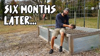 How did our RAISED BEDS do? (What we learned)