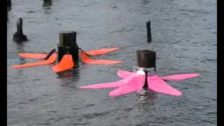 Tide Flowers