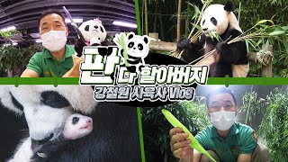 [직딩Vlog] 에버랜드 판다 할아버지의 하루  강철원 사육사 직딩브이로그 (feat. 판다월드, 아기판다, Baby Panda)