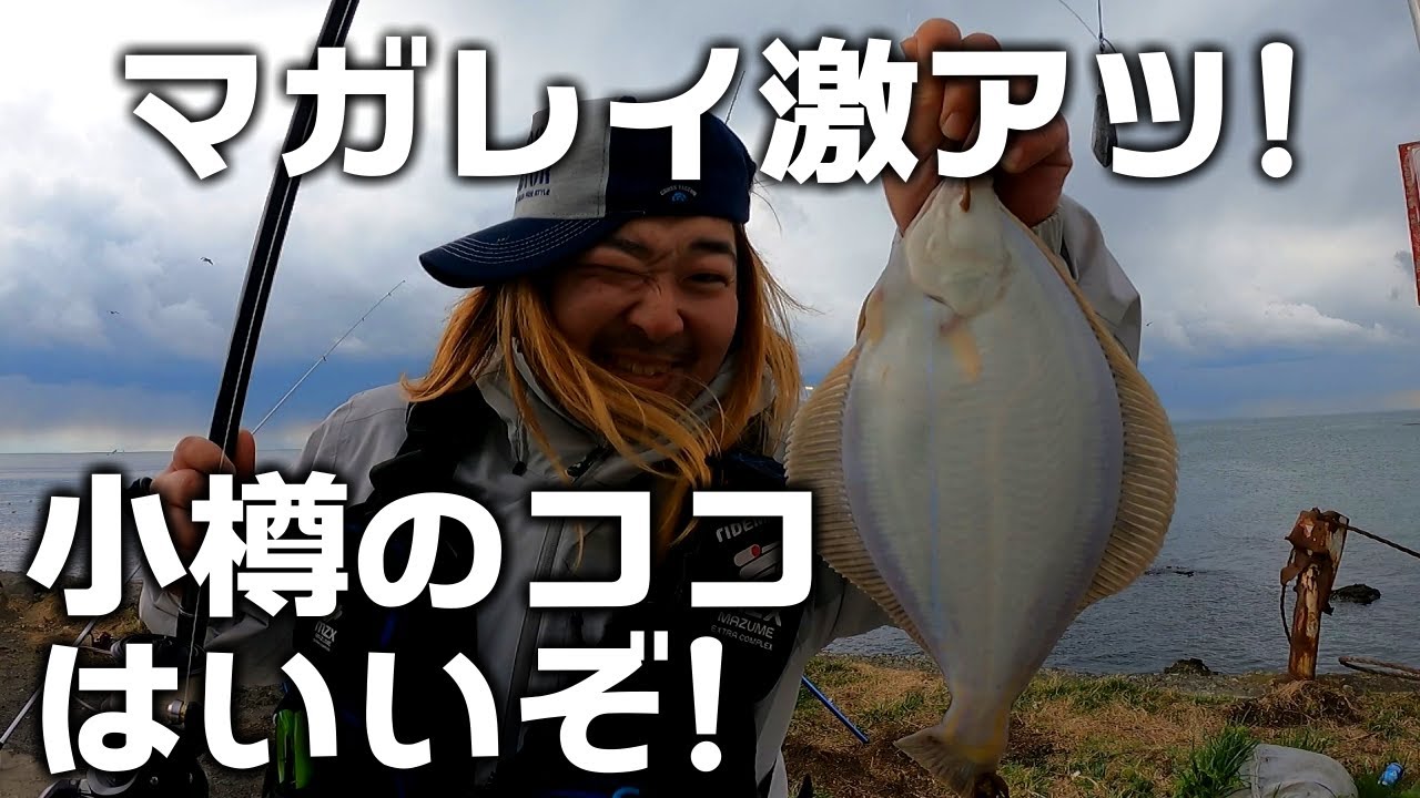 小樽のここが今カレイが激アツだぞ！