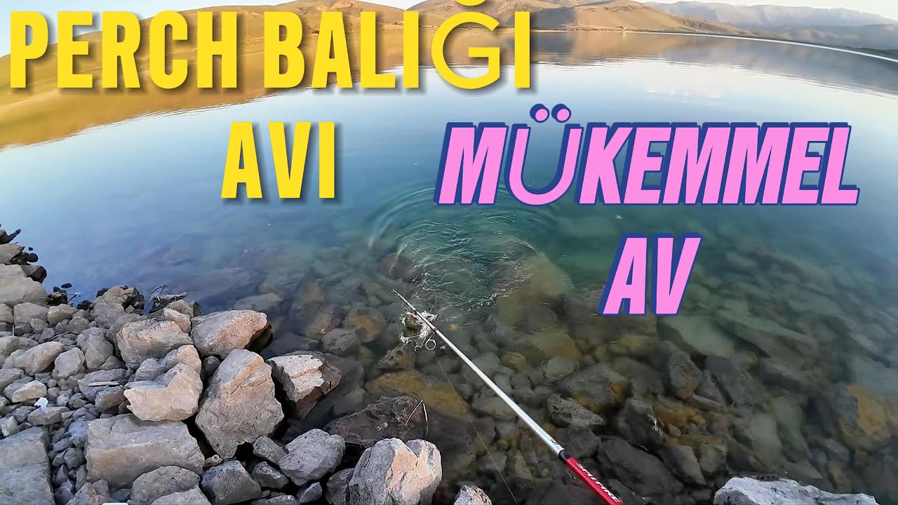 PERCH BALIĞI AVI MÜKEMMEL AV OLDU