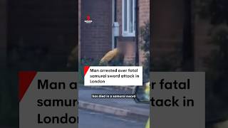 Man arrested over fatal samurai sword attack in London
