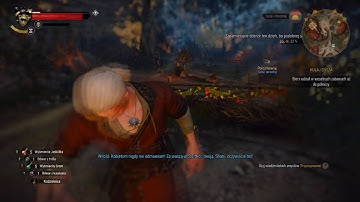 The Witcher 3 Crash/Bug