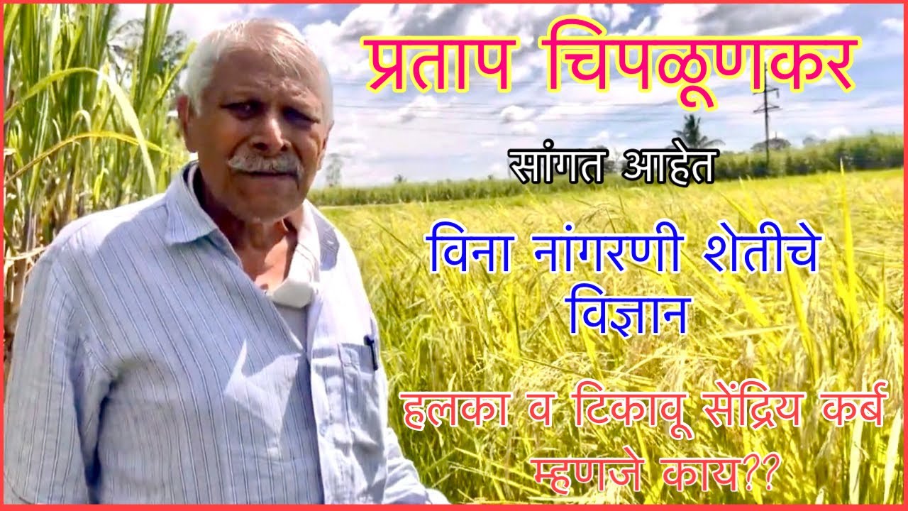 विना नांगरणी शेती अधिक उत्पादन का देते|प्रताप चिपळूणकर 