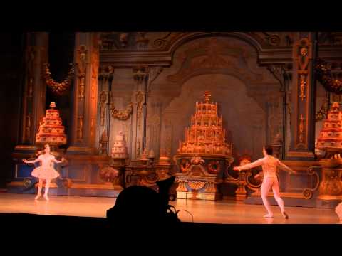 Сергей Полунин, Ксения Рыжкова, Щелкунчик, кода