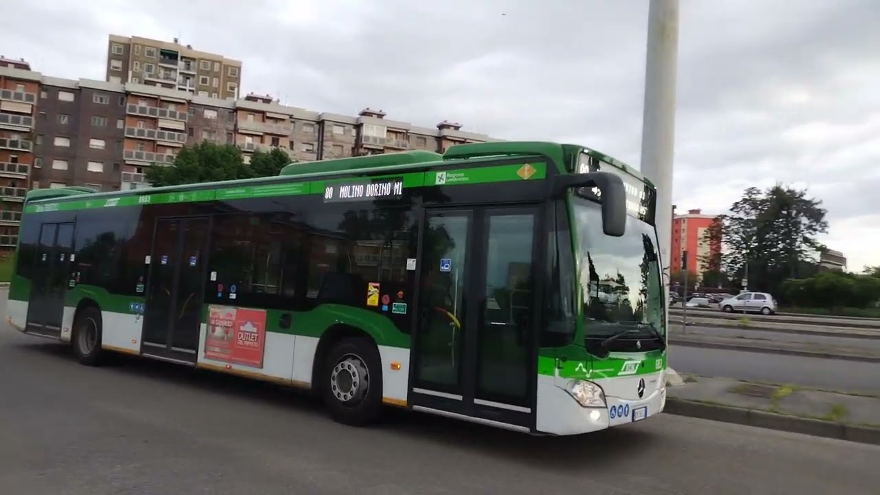 Spotting a Milano #2