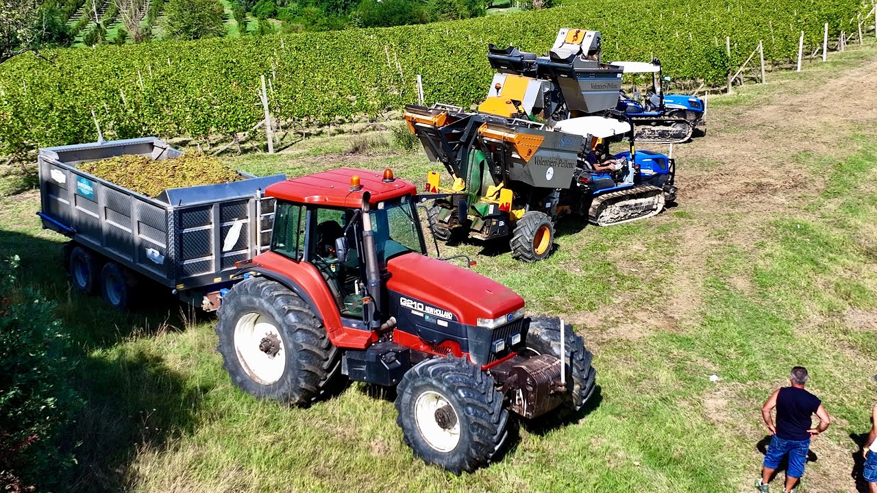 🍇 New Holland TK4.80 F - TK4040 - G210 | Volentieri-Pellenc | PICULEN CONTOTERZI