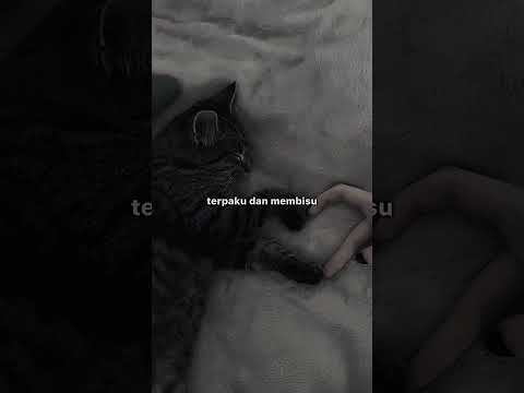 UNGU - Percaya Padaku (lagu Lyric)