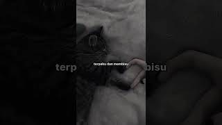 8 || Lagu || Percaya Padaku - Ungu