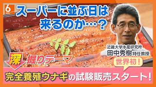 世界初！「完全養殖ウナギ」試験販売スタート　スーパーに並ぶ日は？　今後の可能性を専門家が解説【きょうの深掘り】